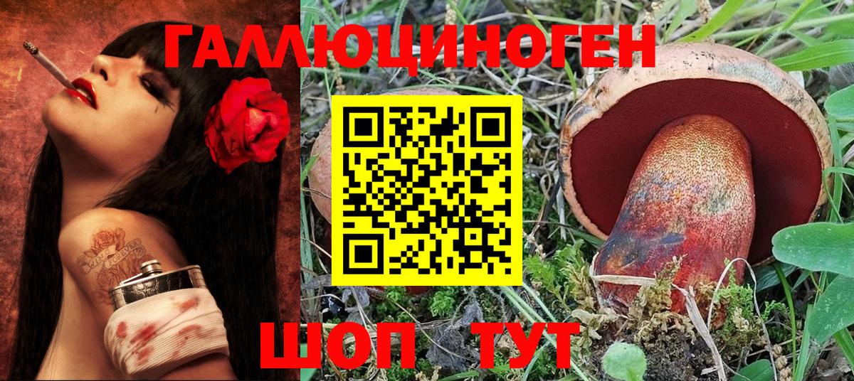 Кандалакша  Галлюциногенные грибы Psilocybe  Вход с VPN  Галлюциногенные грибы Psilocybe 